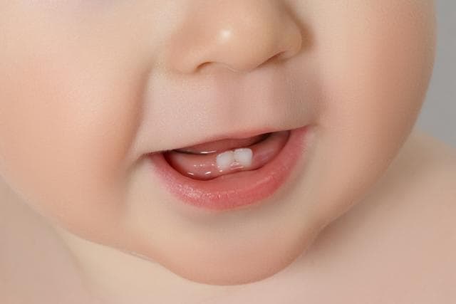 For the study, the researchers examined the effects of two endocrine disruptors -- chemicals that interfere with mammalian hormones. (Shutterstock) For the study, the researchers examined the effects of two endocrine disruptors -- chemicals that interfere with mammalian hormones. (Shutterstock)