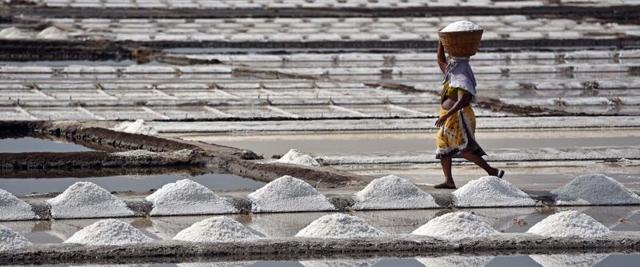 The workers, both men and women, start their day early but take a break at noon as the heat rises. They resume work only after 3pm.  (Pratham Gokhale) 