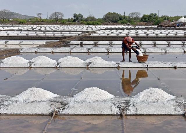 The work is back-breaking as there is no mechanisation.  Everything is done as it has been for centuries. (Pratham Gokhale) 