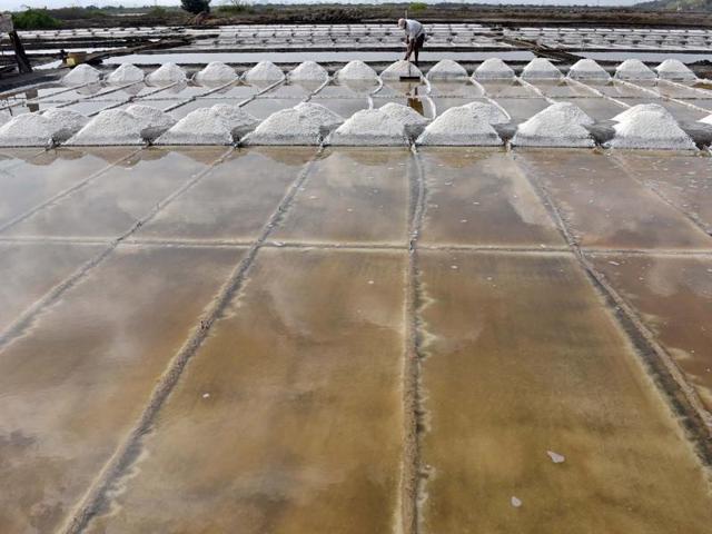 The pans are  allowed to flood with seawater during high tide  and salt forms over a period as the water evaporates.  (Photo by Pratham Gokhale/ Hindustan Times) (Pratham Gokhale) 