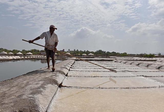 The workers have to spread the slush around in the rectangular beds to aid evaporation. (Pratham Gokhale) 