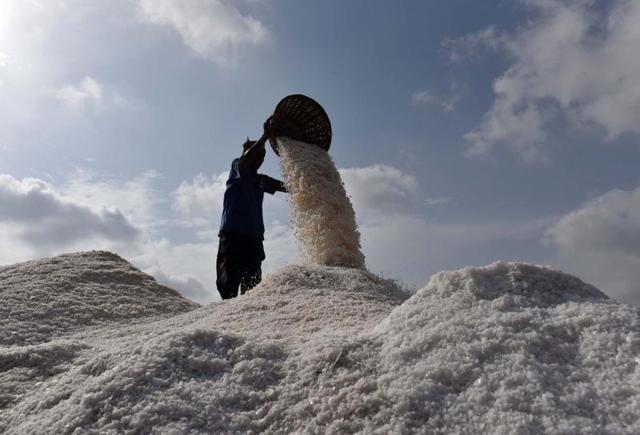 Workers at Mumbai’s saltpans are scrambling to make as much salt as they can before the monsoon sets in.  (Pratham Gokhale) 