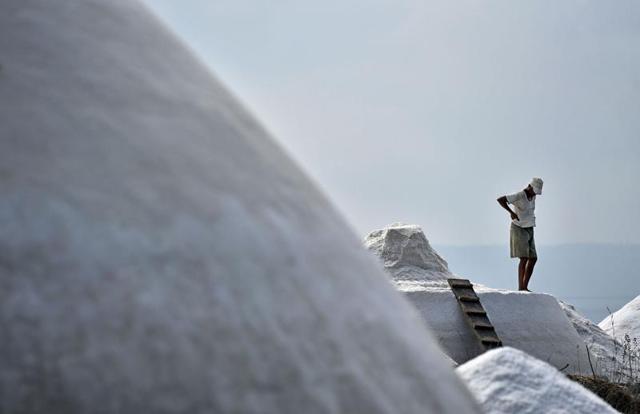 The saltpans, which  are spread across 5,378 acres in Mumbai’s eastern and western suburbs, are shut during the  rains. So workers  have just a few days more to make salt. (Pratham Gokhale) 