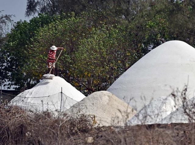 This saltpan is in Bhayander but you’ll find them in Vasai and Virar and the eastern suburbs of  Ghatkopar, Chembur, Wadala, Kanjurmarg, Bhandup, Mandale, Turbhe, Nahur,  and Mulund. (Pratham Gokhale) 