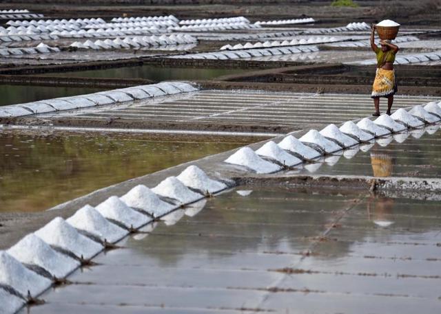 The saltpans  play a crucial role in keeping  Mumbai from flooding during the rains and when the tide is high. (Pratham Gokhale) 