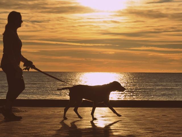 Walking is a great form of exercise that doesn’t require any special equipment. (Pinterest)