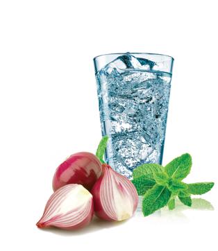 Water, onions and mint should be included in your diet.