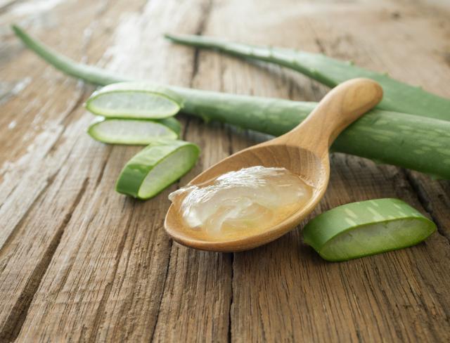 Aloe Vera provides anti-oxidants, and vitamin C and E, said to firm and hydrate the skin (Shutterstock) Aloe Vera provides anti-oxidants, and vitamin C and E, said to firm and hydrate the skin (Shutterstock)