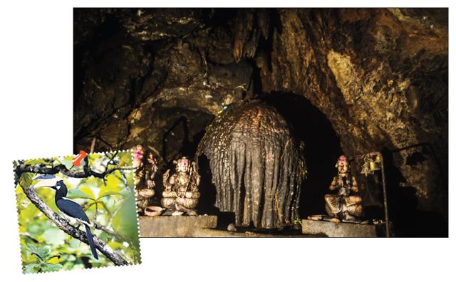Visit Dandeli to be awed by a stalagmite, religiously regarded as a Shiva linga at the Kavala caves in the Dandeli Wildlife Sanctuary. (Akul Tripathi) Visit Dandeli to be awed by a stalagmite, religiously regarded as a Shiva linga at the Kavala caves in the Dandeli Wildlife Sanctuary. (Akul Tripathi)