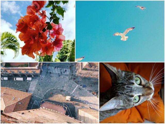 The goal this weekend is to take photos and videos of everyday scenes from especially high or low angles and Instagrammers got creative as always: (Instagram)