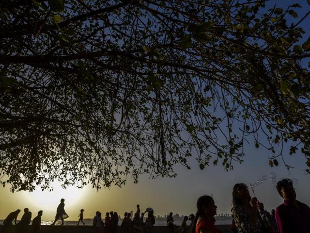 People take shelter under the age old tree at Marine drive that are specially protected while beautification project of Marine drive in Mumbai. (Kunal Patil/HT Photo) People take shelter under the age old tree at Marine drive that are specially protected while beautification project of Marine drive in Mumbai. (Kunal Patil/HT Photo)