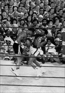 An action of the fight at the end of which he American Muhammad Ali (Cassius Clay) (R) kept his title of heavyweight boxing world champion against his compatriot Ken Norton at the Yankee Stadium of New York. (AFP) An action of the fight at the end of which he American Muhammad Ali (Cassius Clay) (R) kept his title of heavyweight boxing world champion against his compatriot Ken Norton at the Yankee Stadium of New York. (AFP)