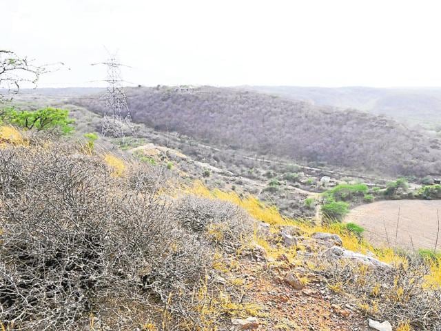 In the report, 4,180 hectares of land has been put under the ‘yet to be decided’ category and 990 hectares has been earmarked as Bhood area compared to the 1,767 hectares of ‘yet to be decided’ and 66 hectares of Bhood area in the earlier report. (Abhinav Saha/HT Photo) In the report, 4,180 hectares of land has been put under the ‘yet to be decided’ category and 990 hectares has been earmarked as Bhood area compared to the 1,767 hectares of ‘yet to be decided’ and 66 hectares of Bhood area in the earlier report. (Abhinav Saha/HT Photo)