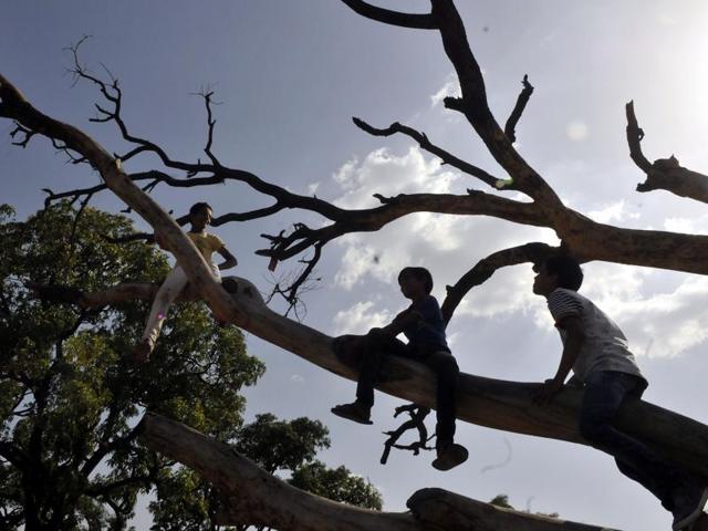 Children play on a fallen tree at Lalbag palace premises in Indore. (Arun Mondhe/HT Photo) Children play on a fallen tree at Lalbag palace premises in Indore. (Arun Mondhe/HT Photo)