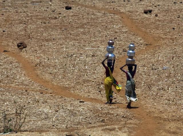 An Indian farmer stands in his parched cotton field at Chandampet Mandal in Nalgonda, east of Hyderabad. Some 330 million people are suffering from drought in India, according to the government. (AFP) An Indian farmer stands in his parched cotton field at Chandampet Mandal in Nalgonda, east of Hyderabad. Some 330 million people are suffering from drought in India, according to the government. (AFP)