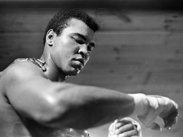 Muhammad Ali tapes his right hand for a training session at his camp in Deer Lake. (NYT Photo) Muhammad Ali tapes his right hand for a training session at his camp in Deer Lake. (NYT Photo)