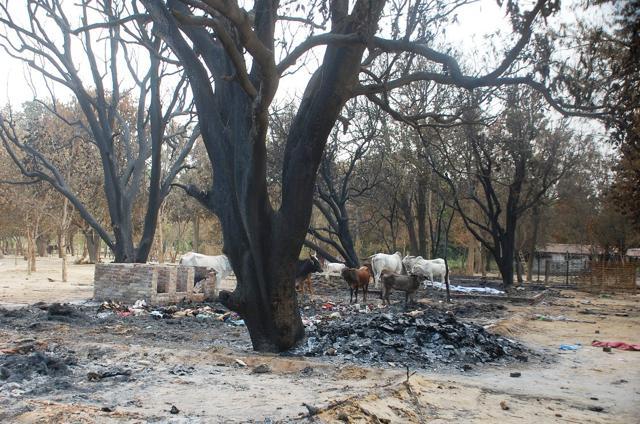 Those occupying Jawahar Bagh park had arranged for electricity, despite it having being disconnected by the administration. Solar panels and huge batteries were also found. (Antram/HT Photo)