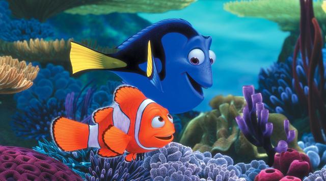 Dory the blue coloured regal tang will be on another in Finding Dory. Dory the blue coloured regal tang will be on another in Finding Dory.