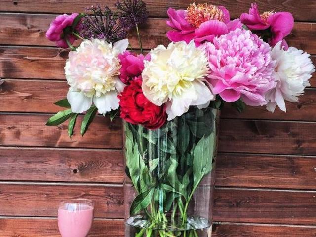 With this in mind, we thought it only fitting to indulge ourselves in one of Instagram’s most unapologetically beautiful hashtag: #peonies. (Instagram) 