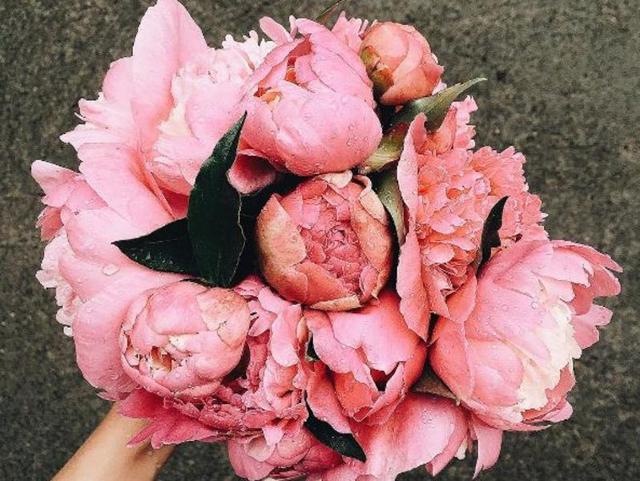 Though your Instagram is often overwhelmed with selfies and #ootd posts, it is, without doubt, an amazing source of for lovers of this beautiful flower.  (Instagram) 