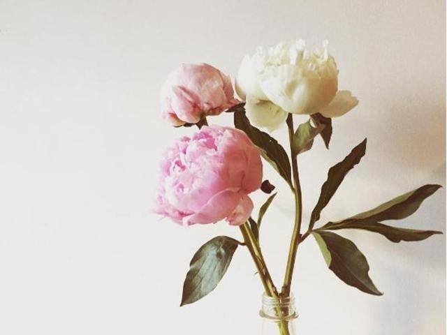If you’re a flower-obsessed nut, these pictures are sure to get your creative flower juices flowing. (Instagram) 