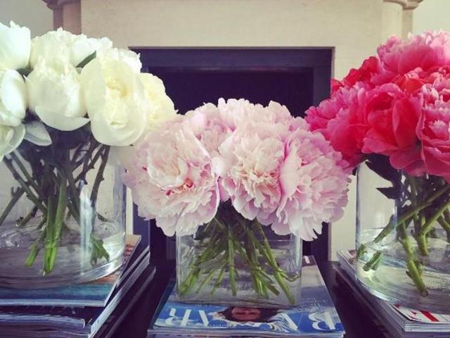 It’s the beginning of the week and you’re feeling stressed, already? These beautiful flowers will help you ease into your Tuesday and make your week awesome.  (Instagram) 