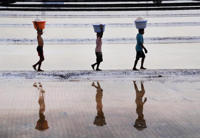 Labourers collect salt in salt pans near Airoli creek in Mumbai before the monsoon hits. (PTI) Labourers collect salt in salt pans near Airoli creek in Mumbai before the monsoon hits. (PTI)