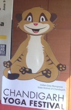 The logo of the Chandigarh Yoga Festival (June 9-12) with the mascot, a mongoose, on it. (HT Photo)