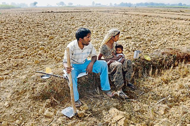 SBI will provide finance to farmers who supply their agricultural products to large food processing companies and are reimbursed during a fixed time. SBI will provide finance to farmers who supply their agricultural products to large food processing companies and are reimbursed during a fixed time.