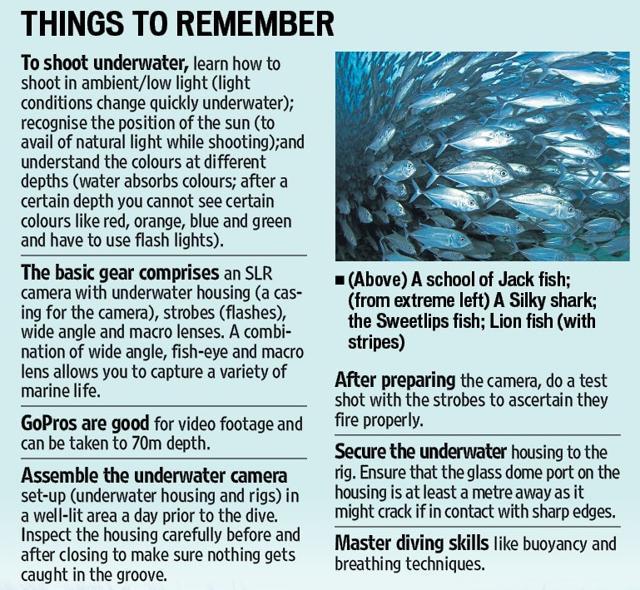 Article image Article image