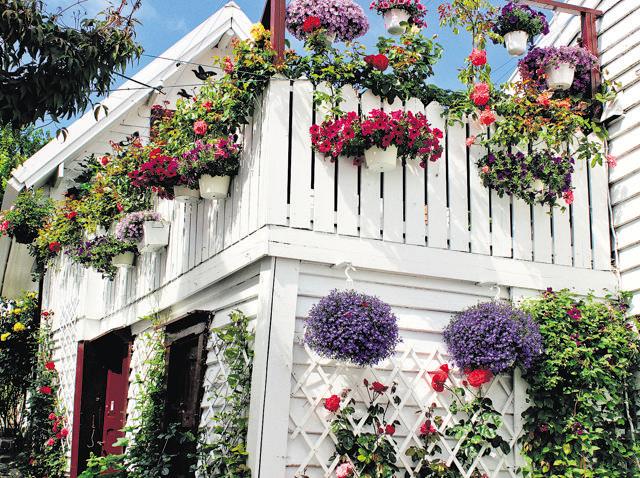 Deck up the outside of your balcony with plants. (iStock) Deck up the outside of your balcony with plants. (iStock)