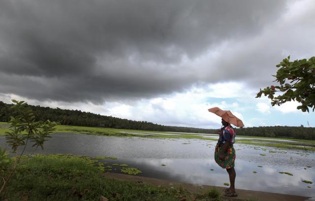 Monsoon arrived in Kerala earlier this month. (Vivek R Nair/HT photo) Monsoon arrived in Kerala earlier this month. (Vivek R Nair/HT photo)