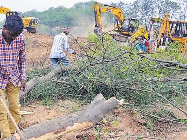 The order came on the NHAI petition whereby it had submitted that the blanket ban order was passed without taking into consideration that the NHAI had adhered to the statutory rules and regulations with respect to cutting and felling of trees. (Representative image) The order came on the NHAI petition whereby it had submitted that the blanket ban order was passed without taking into consideration that the NHAI had adhered to the statutory rules and regulations with respect to cutting and felling of trees. (Representative image)