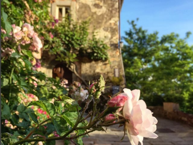 Flowers blooming in all their glory fascinated many. (Girlinflorence) 