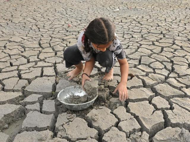A child participating in ‘kar seva’ (voluntary service) to clean Sri Devi Talab Mandir in Jalandhar. (Pardeep Pandit/HT Photo)