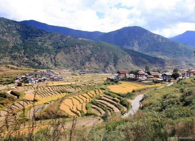 A scenic view of the landscape. (Photo: Zabeeh Afaque/HT)
