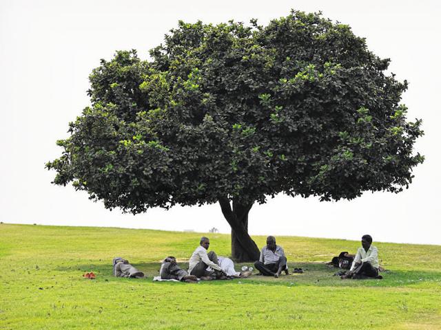 An increasing number of people are reporting symptoms of allergic rhinitis – sneezing and runny nose caused by inhaled allergens -- because of the hot, dry weather and the intermittent dust storms. (Hindustan Times) An increasing number of people are reporting symptoms of allergic rhinitis – sneezing and runny nose caused by inhaled allergens -- because of the hot, dry weather and the intermittent dust storms. (Hindustan Times)