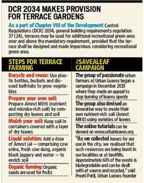 Article image Article image