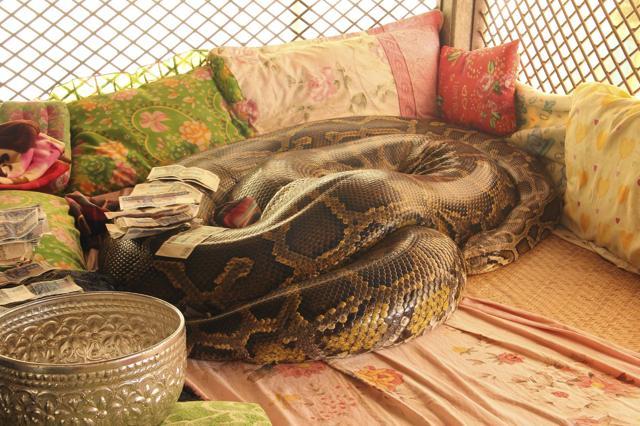 The python at Bago’s Snake Monastery. (Istock) The python at Bago’s Snake Monastery. (Istock)