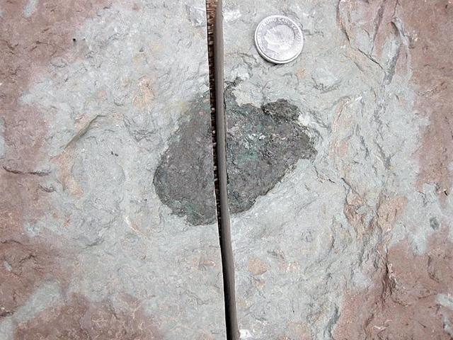 Dubbed Oest 65, it is thought to be a splinter of a potato-shaped rock some 20-30 kilometres (12-19 miles) wide, which had smashed into another much larger body, sprinkling our adolescent planet with debris. (Photo courtesy- nature.com) Dubbed Oest 65, it is thought to be a splinter of a potato-shaped rock some 20-30 kilometres (12-19 miles) wide, which had smashed into another much larger body, sprinkling our adolescent planet with debris. (Photo courtesy- nature.com)