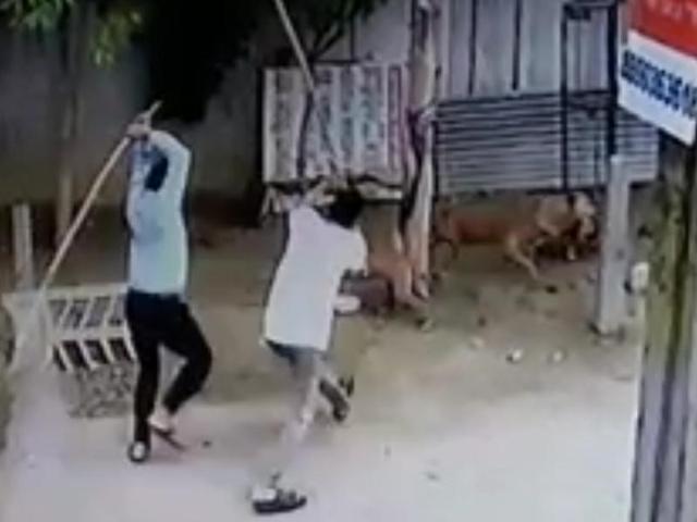 Two residents of sector 5 in Vasundhara have been booked for killing and maiming six street dogs in the locality.(CCTV Image)