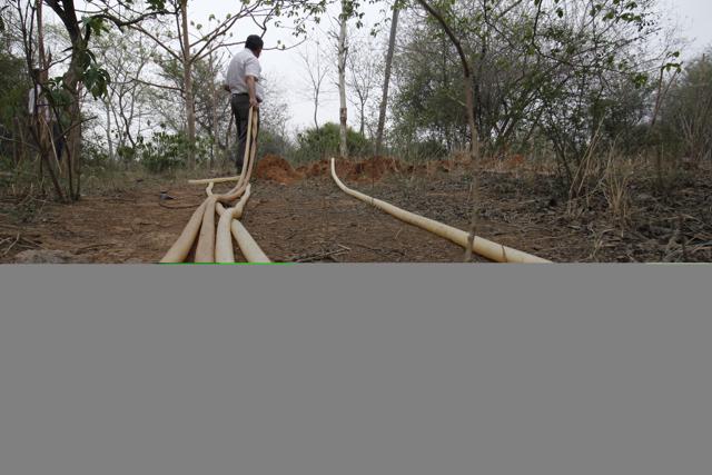 With the decline in water table the biodiversity park is dependent on water from private tankers.(Hindustan Times/ HT Photo)