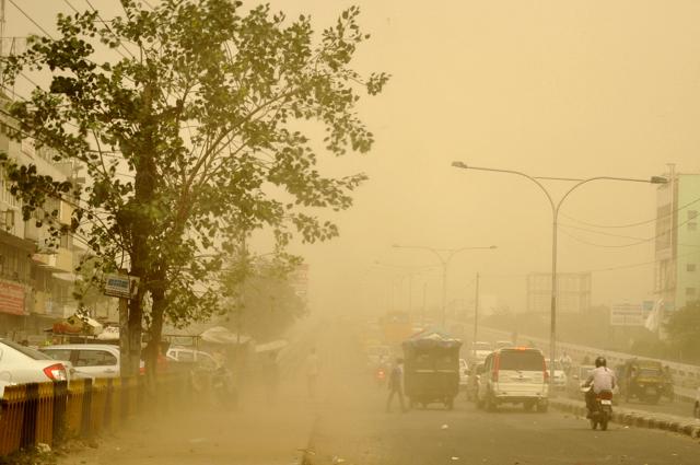 While we might enjoy dust storms, it usually means trouble for birds.(Subhash Sharma/HT) While we might enjoy dust storms, it usually means trouble for birds.(Subhash Sharma/HT)