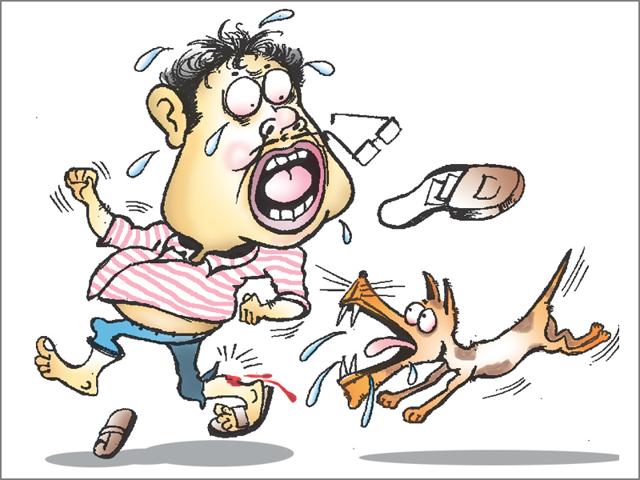 More than 10 lakh people in Bihar have suffered dog bites in the last couple of years.(HT Illustration /Syamal) More than 10 lakh people in Bihar have suffered dog bites in the last couple of years.(HT Illustration /Syamal)