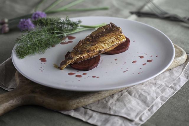Gurnard served with fermented beetroot (PHOTO: ROMY GILL) Gurnard served with fermented beetroot (PHOTO: ROMY GILL)