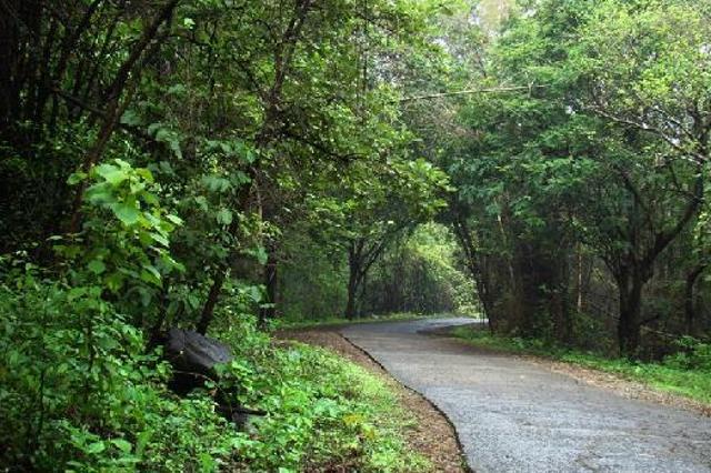 Go for a cycle-tour with a resident nature expert at Sanjay Gandhi National Park. Go for a cycle-tour with a resident nature expert at Sanjay Gandhi National Park.