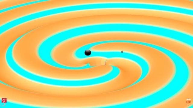 An artist rendition shows two black holes 14 and 8 times the mass of the sun (L-R), just moments before they collided and merged to form a new black hole 21 times the mass of the sun in this image released on Wednesday. (Reuters) An artist rendition shows two black holes 14 and 8 times the mass of the sun (L-R), just moments before they collided and merged to form a new black hole 21 times the mass of the sun in this image released on Wednesday. (Reuters)