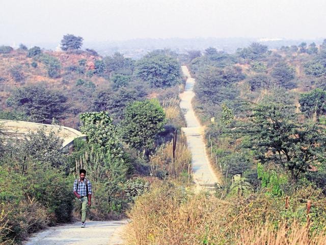 The interpretation centre and cafe are proposed to be built inside the bio-diversity park in Gurgaon.(HT FILE PHOTO)
