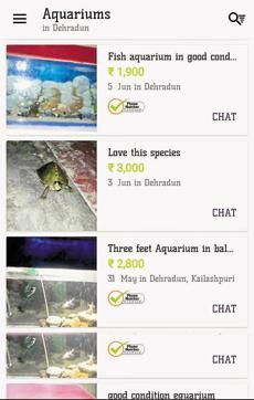 Indian roofed turtles for sale advertisement on a website. (HT Photo) Indian roofed turtles for sale advertisement on a website. (HT Photo)