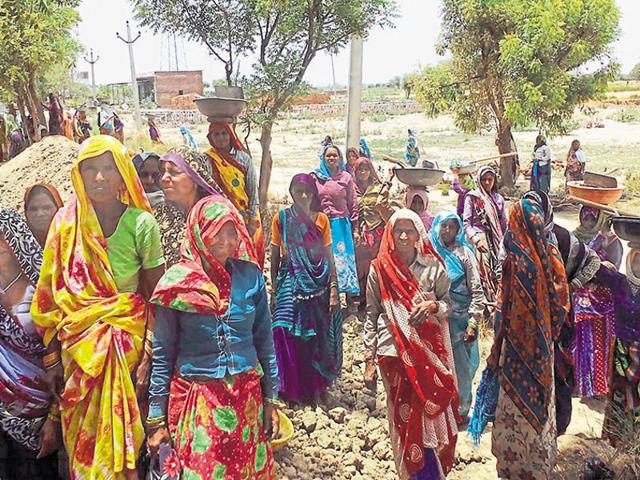 MNREGA labourers work under the scorching sun at Tuhiya village in Bharatpur district on Friday. (HT Photo)